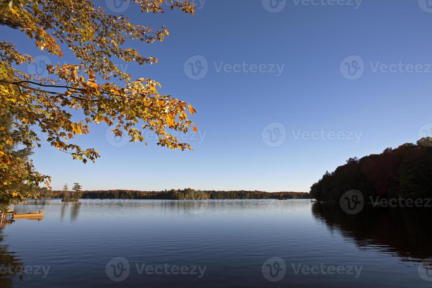 lago in autunno foto