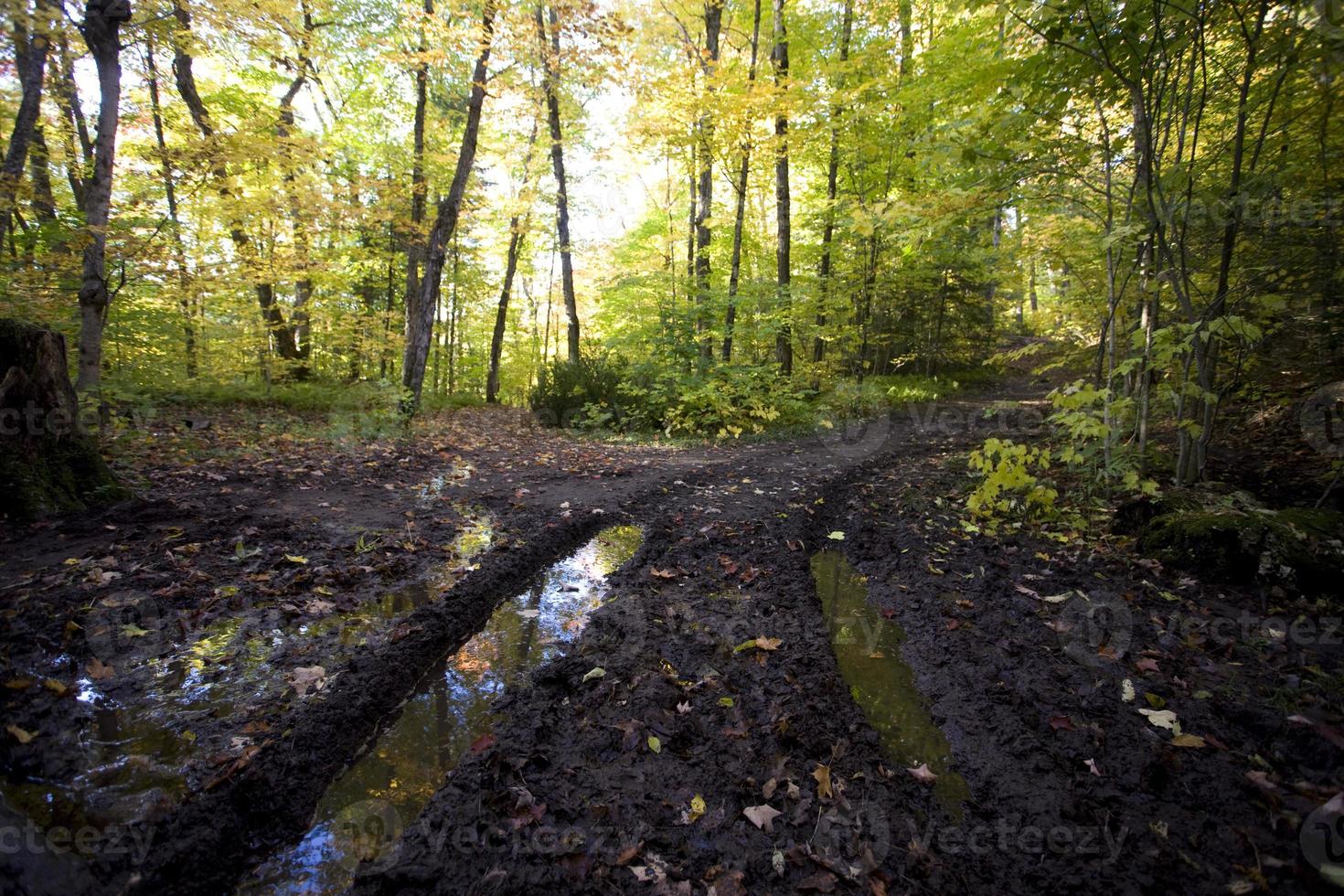 strada fangosa in autunno foto