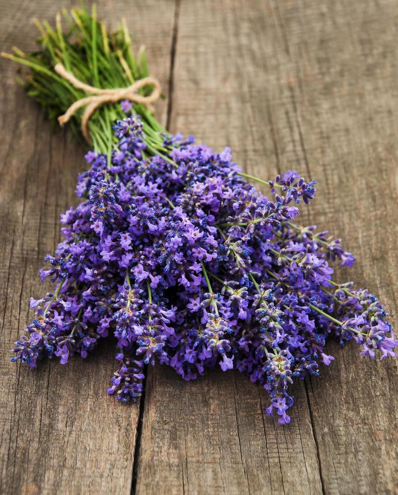 mazzo di lavanda foto