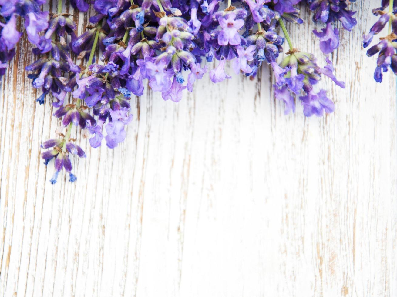 mazzo di lavanda foto