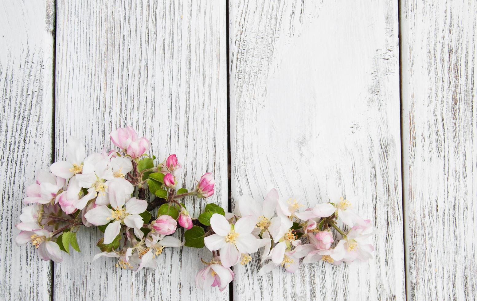 fiore di melo primaverile foto