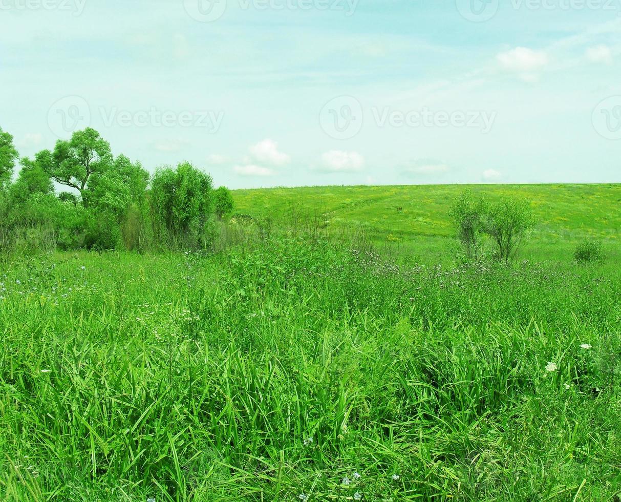 prato estivo. l'erba è verde, il cielo è nuvole. vista paese. foto