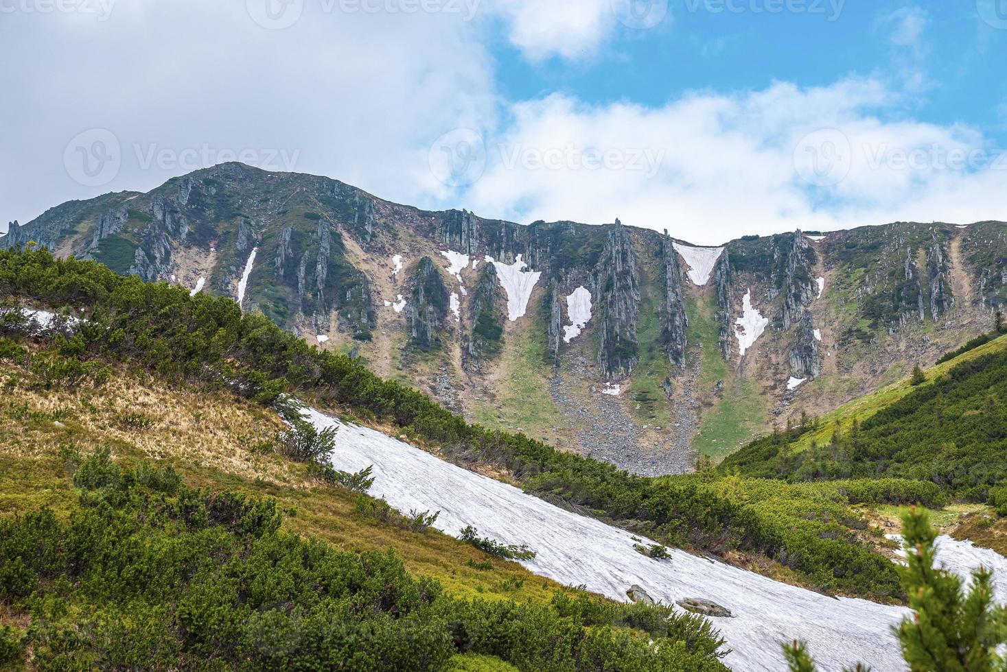vista panoramica del pendio della montagna innevato con rigogliose piante foto