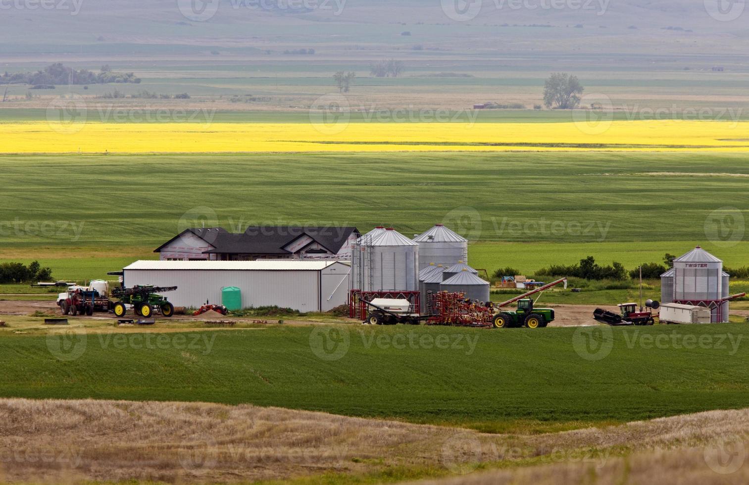 fattoria vicino a Mortlach Saskatchewan foto