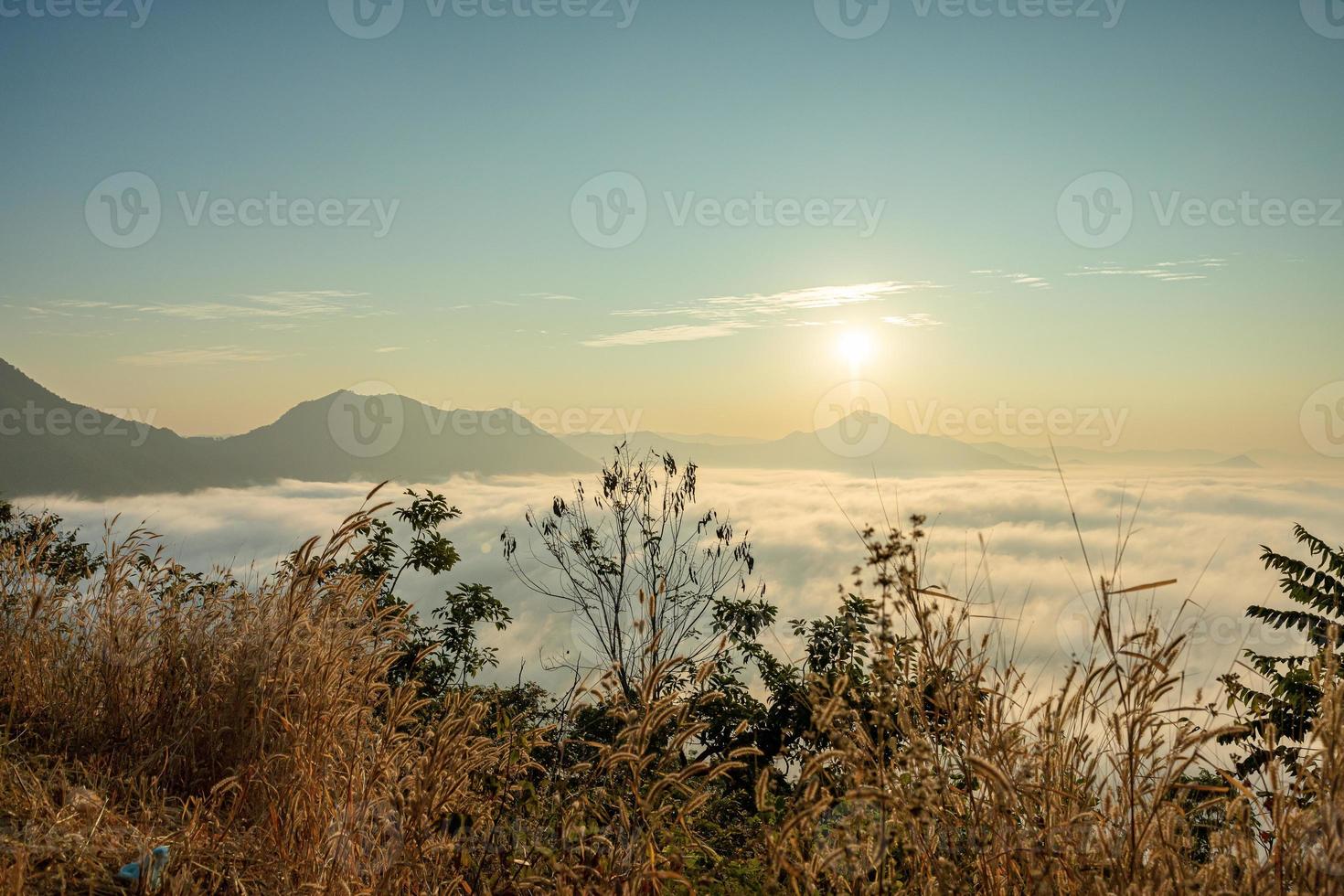 mare di nebbia copre l'area sulla cima della collina doi phu thok, chiang khan, loei, tailandia con sfondo di alba in inverno. foto