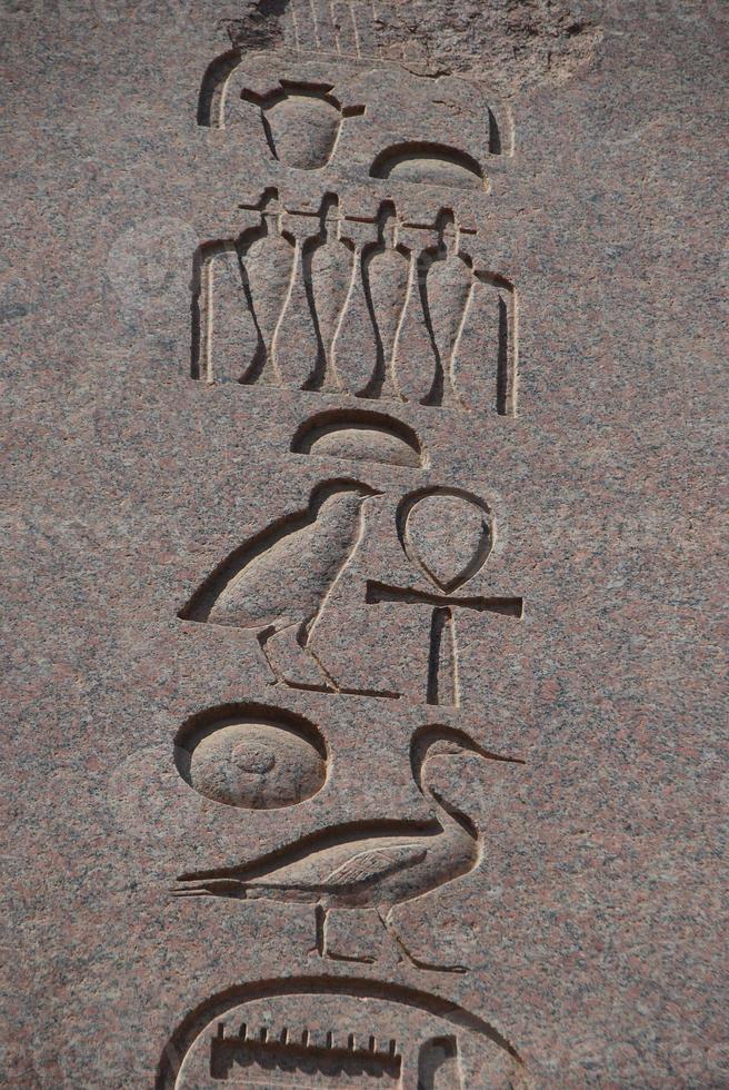 geroglifico su una parete d'Egitto foto