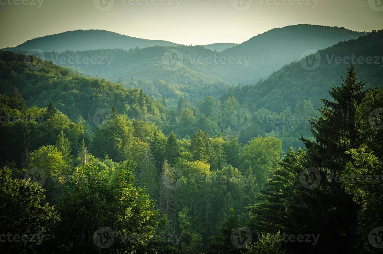 foreste e verdi colline, parco nazionale dei laghi di plitvice, croazia, europa foto