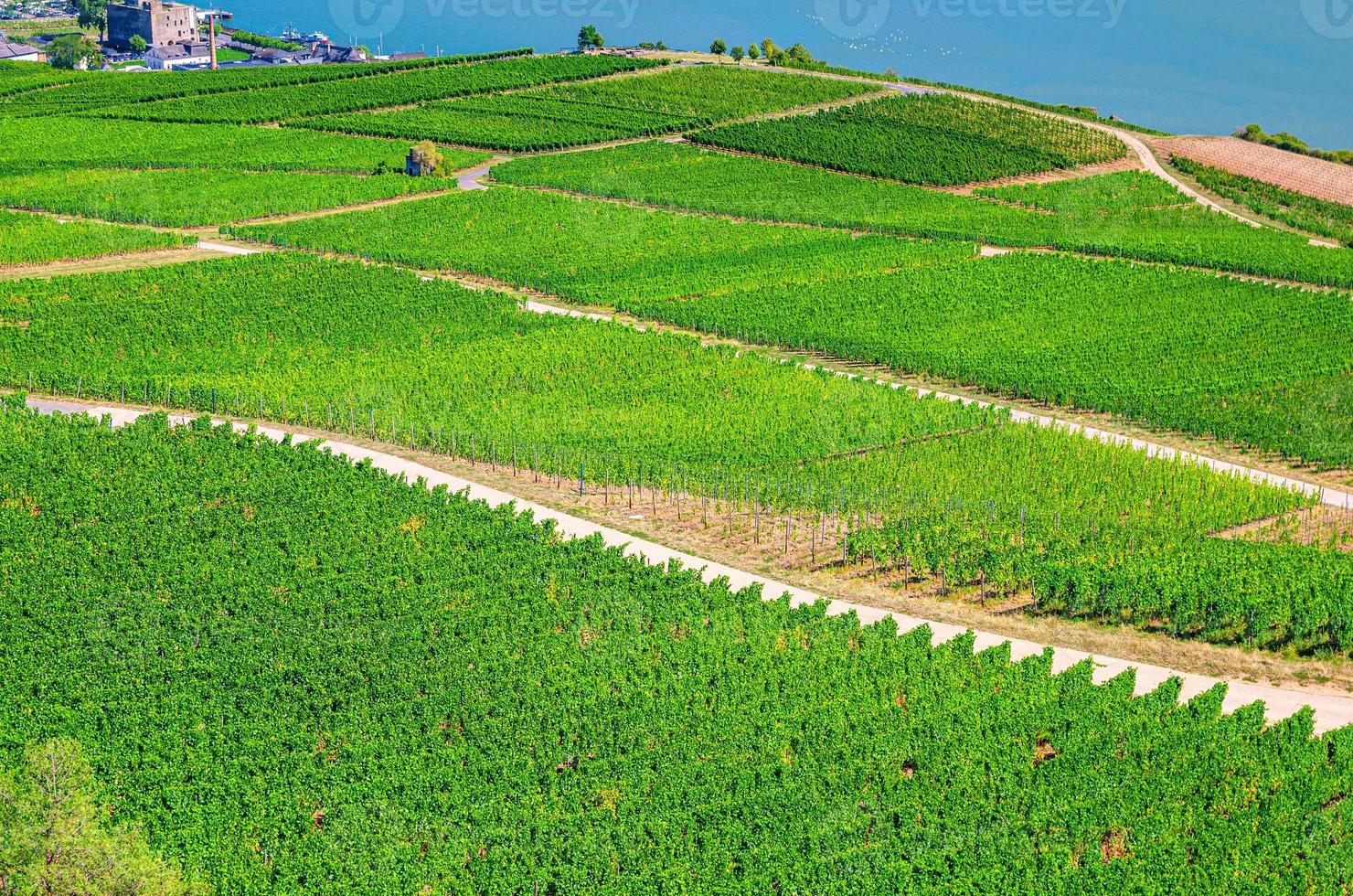 vista panoramica aerea della gola del fiume Reno o della regione vinicola della valle del Reno medio superiore foto