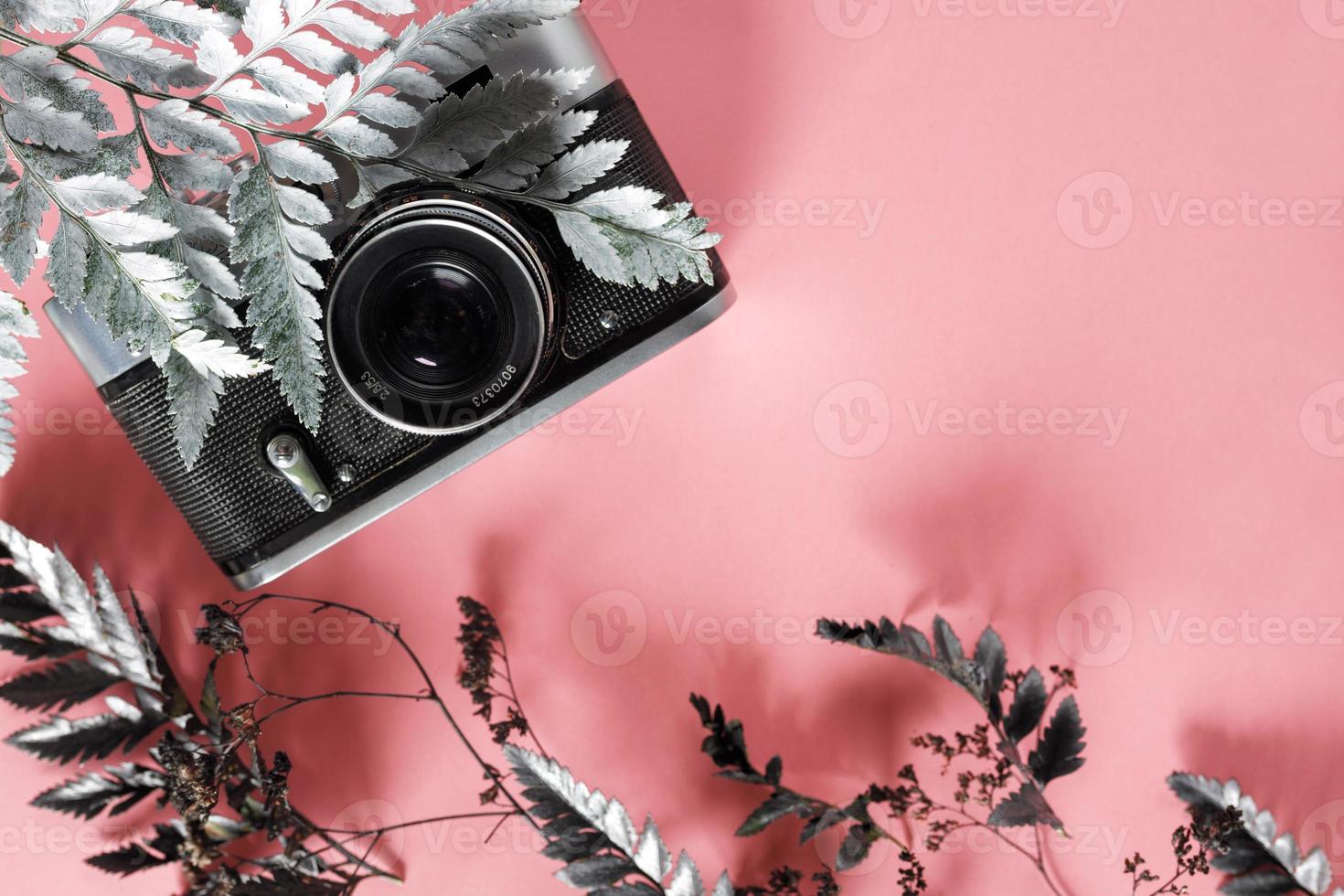 vuoto per decorare cartoline o un buono regalo per un fotografo. vecchia fotocamera su sfondo rosa con fiori secchi grigi e spazio per il testo foto