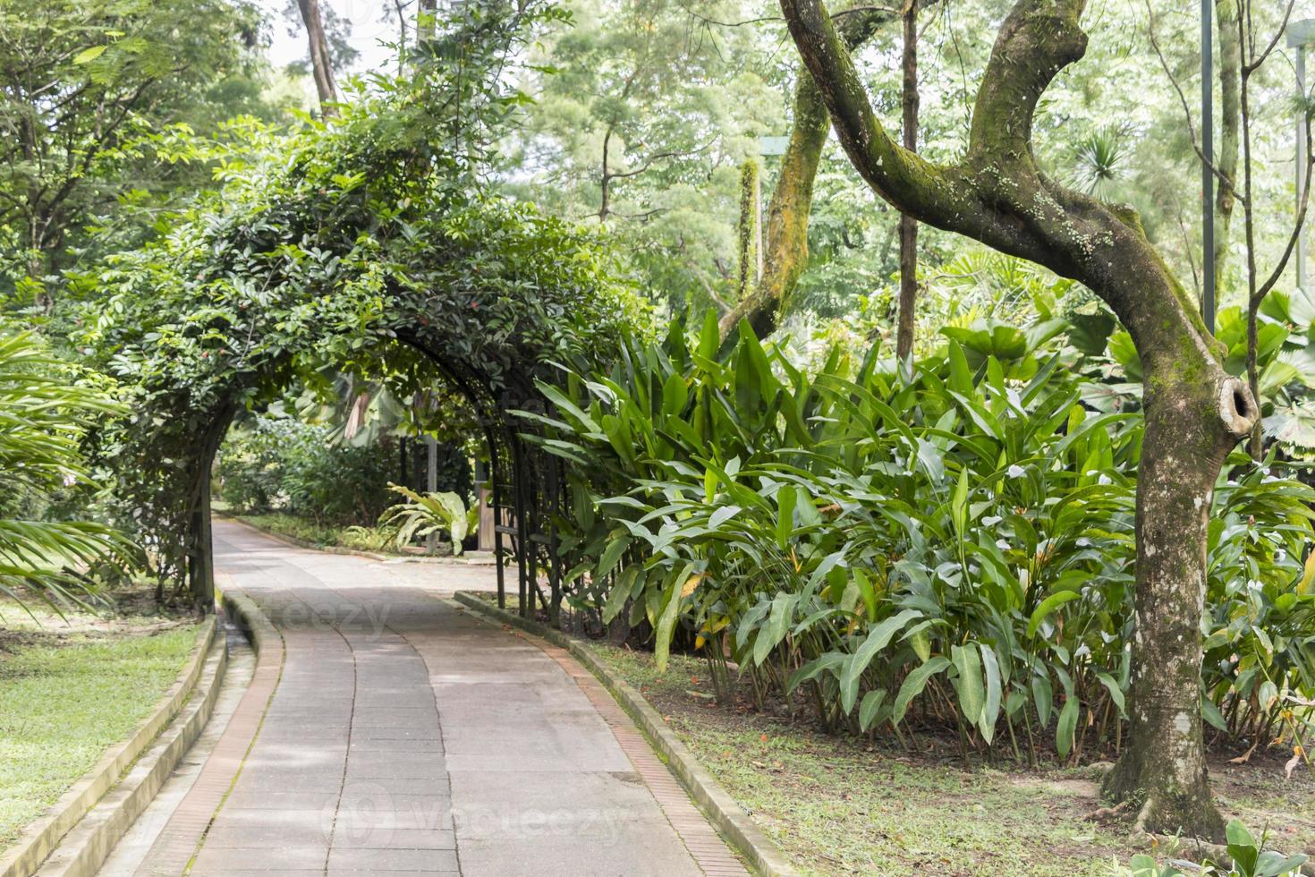 parco perfetto e pulito giardini botanici perdana a kuala lumpur. foto