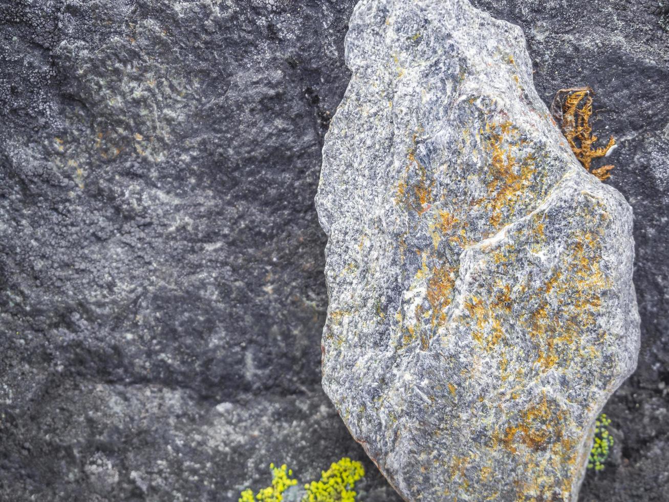 struttura di roccia di pietra con muschio arancione e colori di licheni norvegia. foto