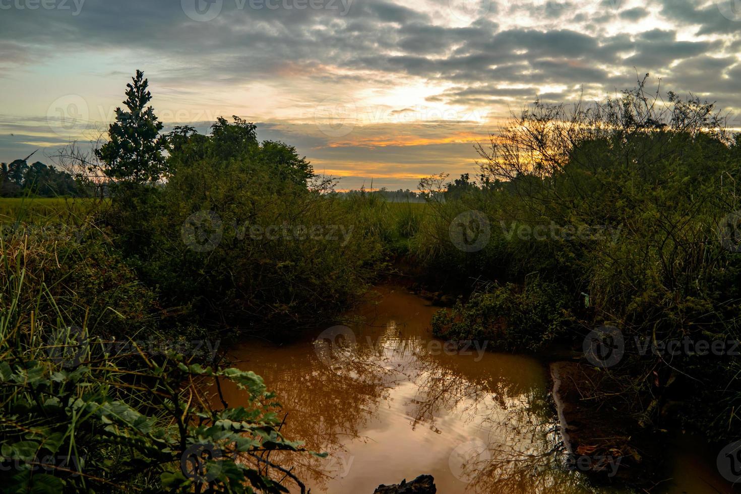 bellissimo paesaggio pomeridiano con fiume foto