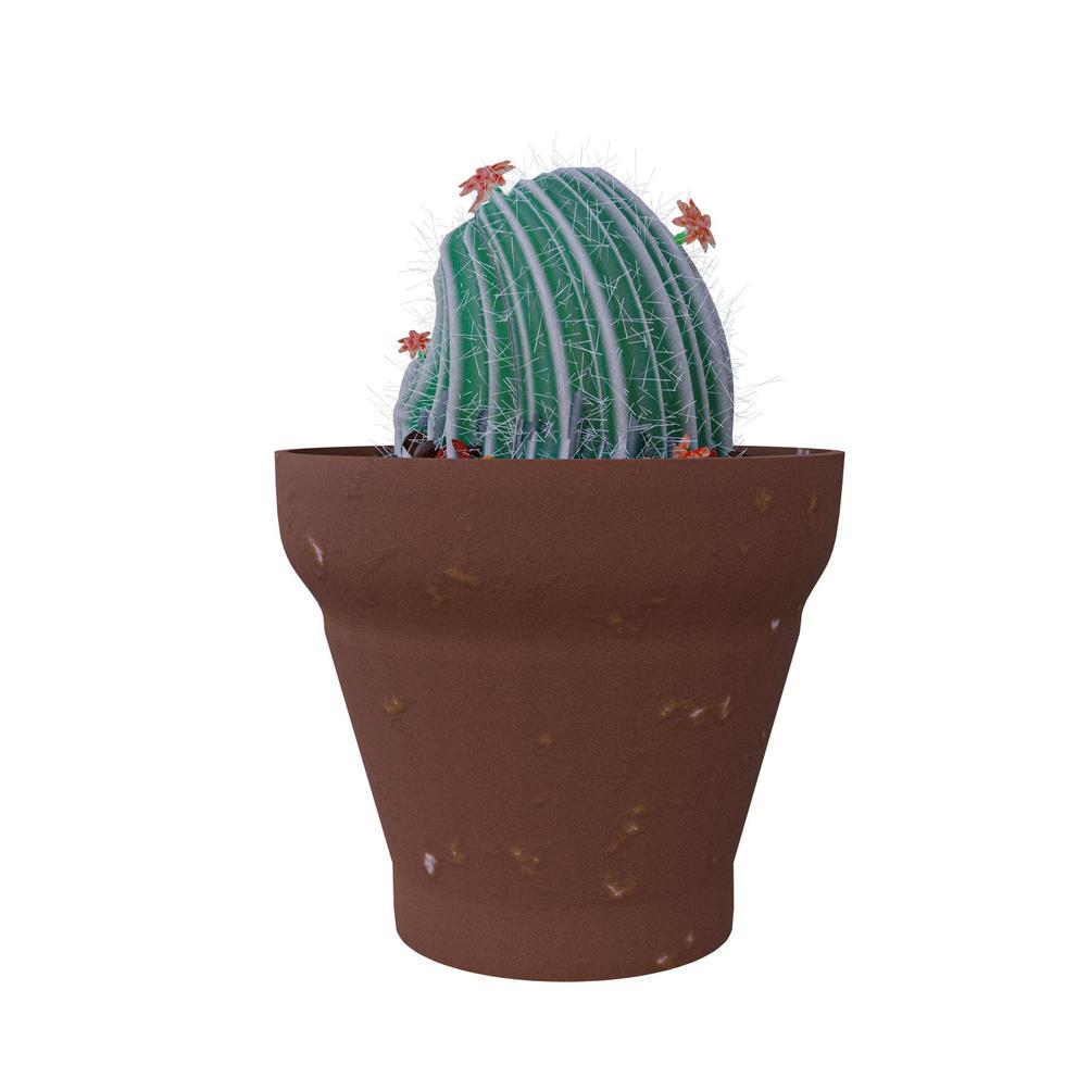 pianta di cactus in vaso isolato su sfondo bianco. foto