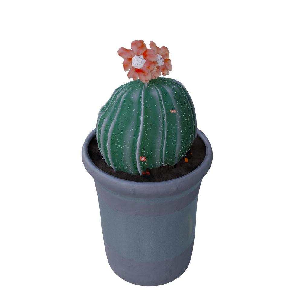 pianta di cactus in vaso isolato su sfondo bianco. foto