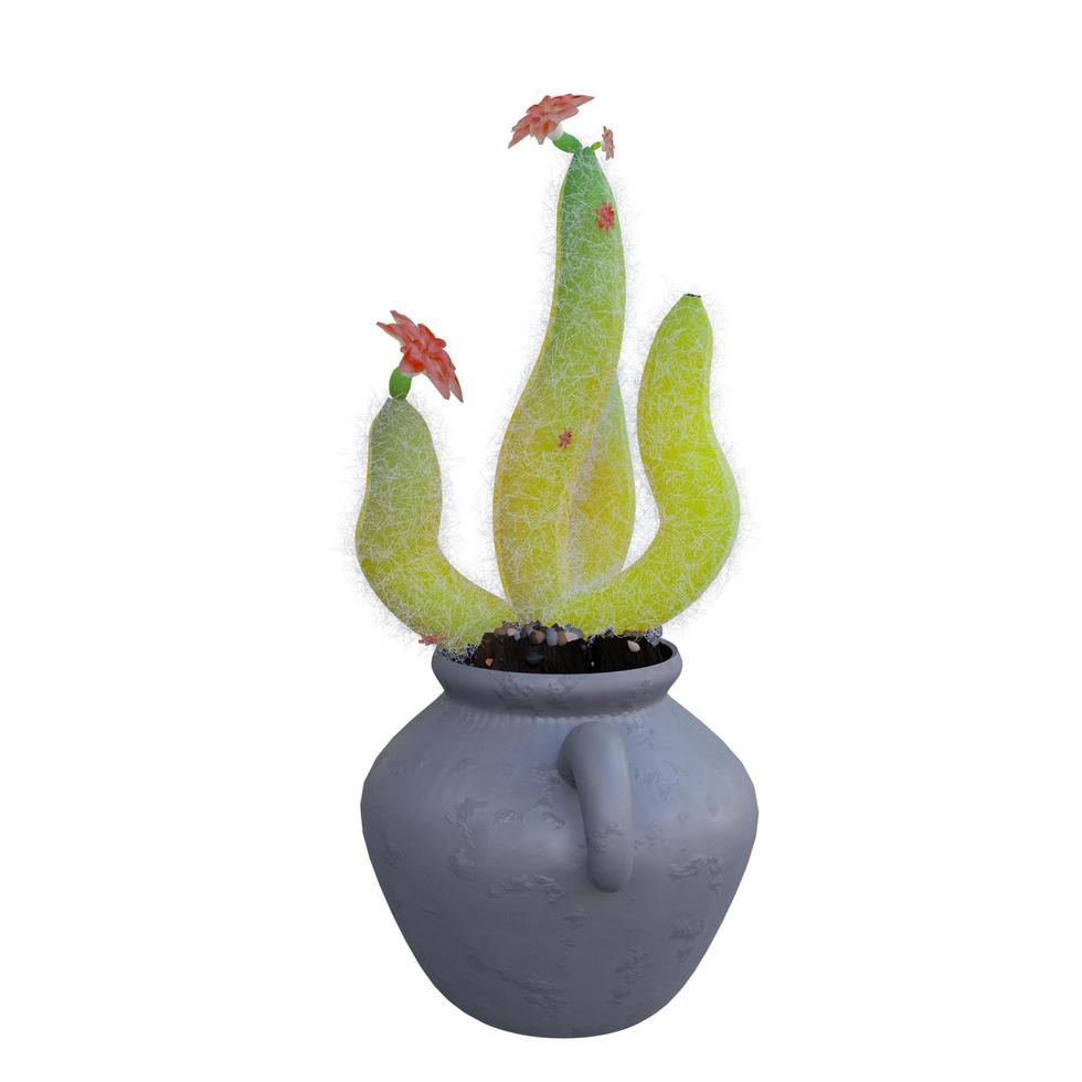 pianta di cactus in vaso isolato su sfondo bianco. foto
