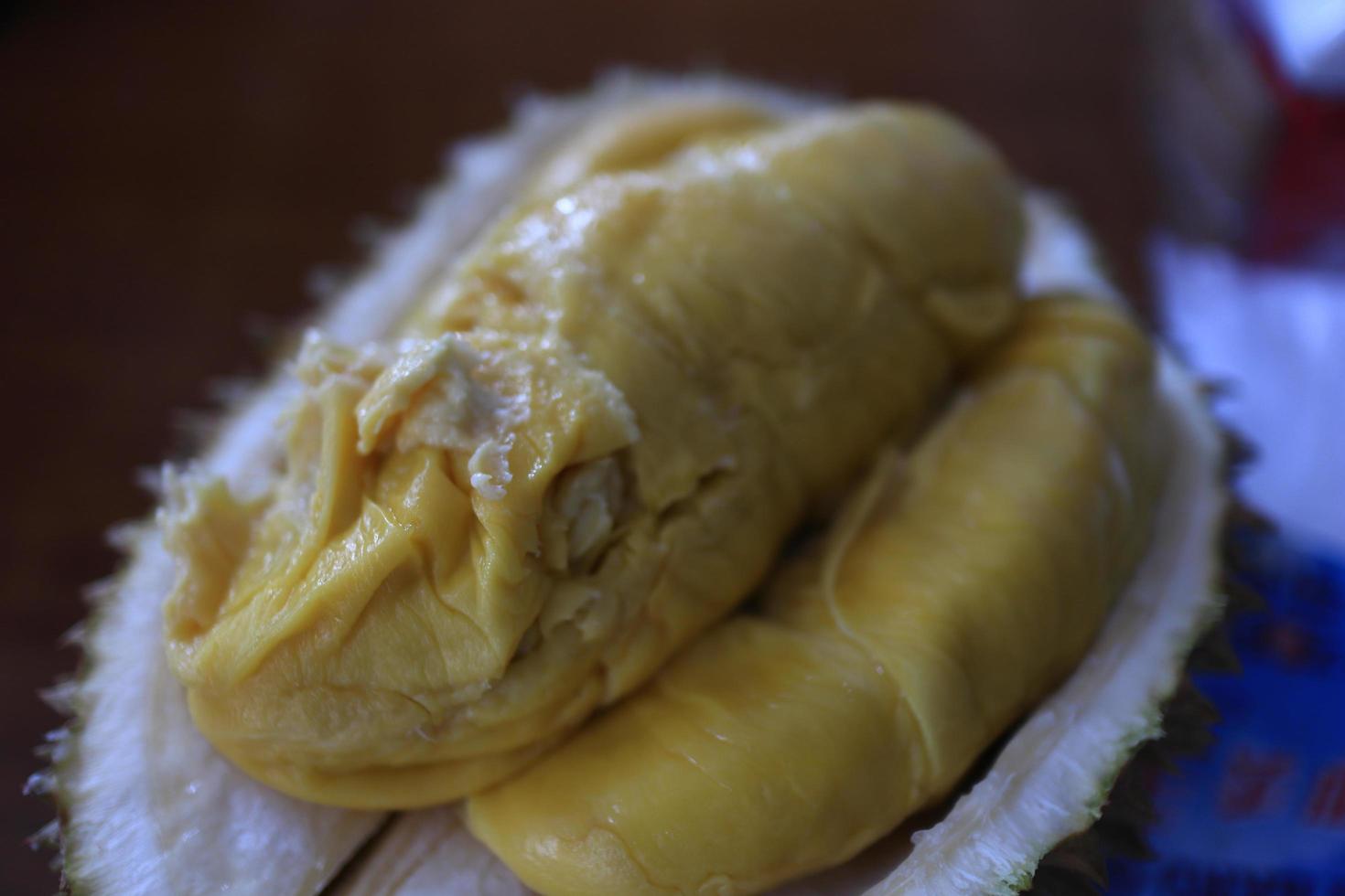 donnola durian, durian musang, uno dei durian più costosi del sud-est asiatico, ha un buon sapore, un po' amaro e molto delizioso foto