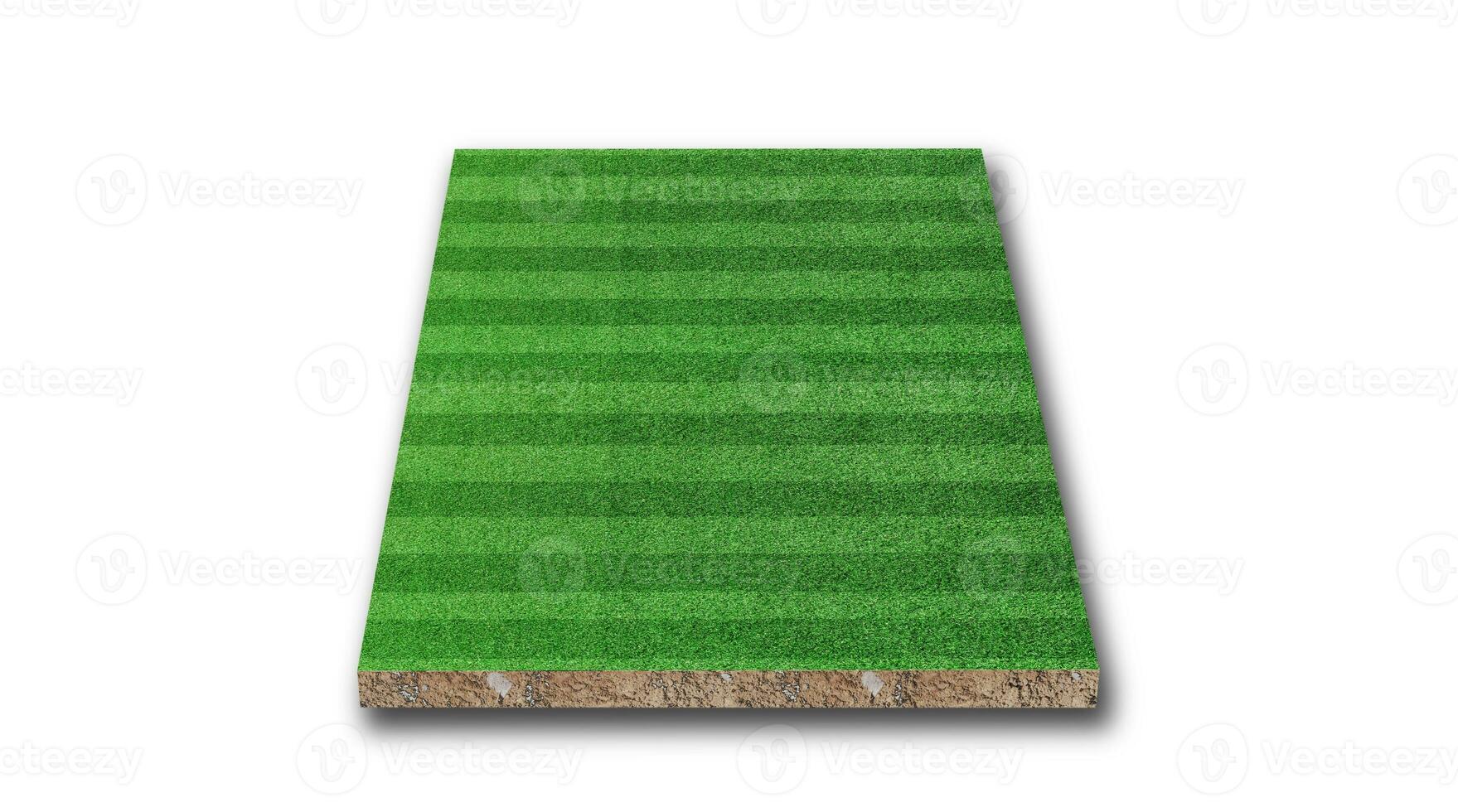 rendering 3D. campo da calcio in erba a strisce, campo da calcio prato verde, isolato su sfondo bianco. foto
