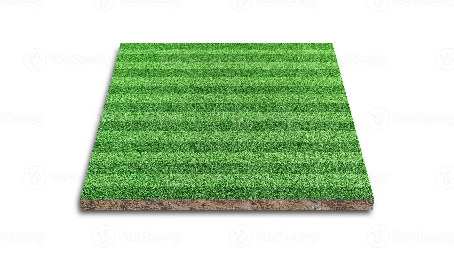 rendering 3D. striscia di campo da calcio prato, campo da calcio in erba verde, isolato su sfondo bianco. foto