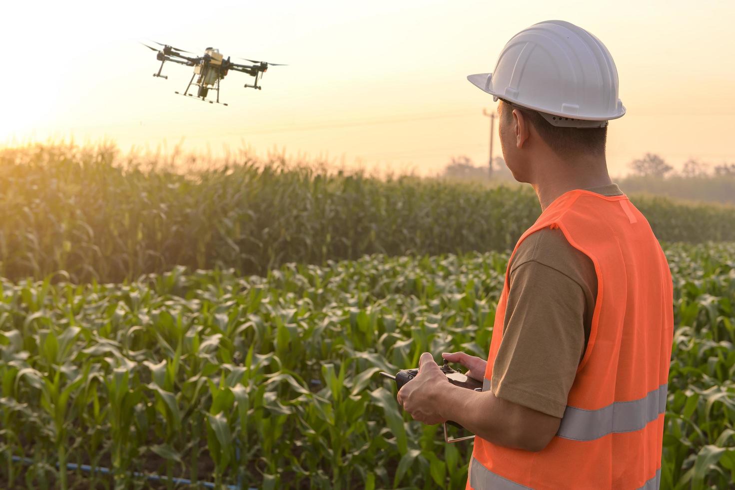 ingegnere maschio che controlla i droni che spruzzano fertilizzanti e pesticidi su terreni agricoli, innovazioni ad alta tecnologia e agricoltura intelligente foto