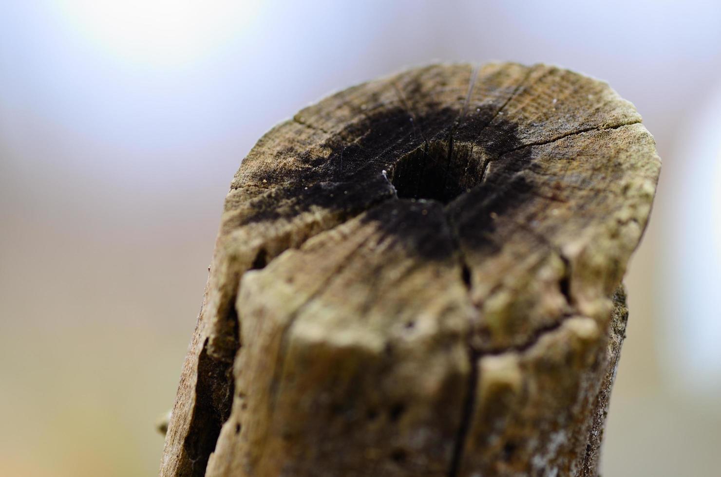 stelo di legno con un foro foto