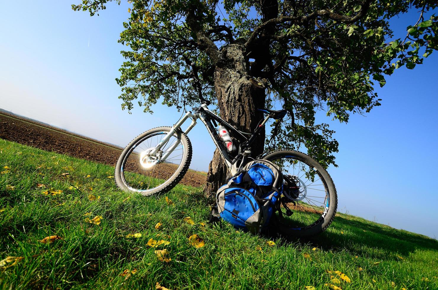 mountain bike con albero in autunno foto