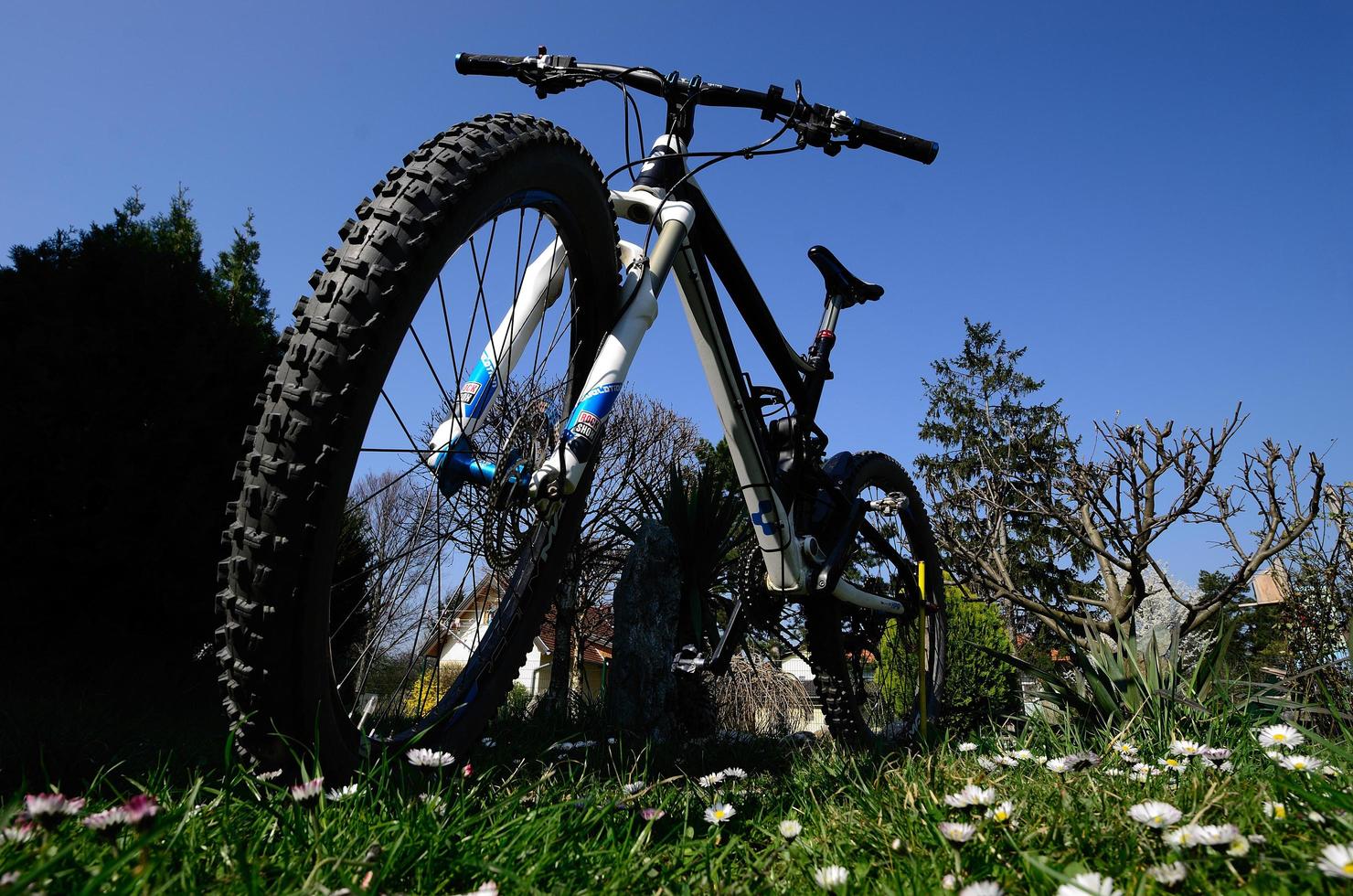 vista fantastica per mountain bike foto