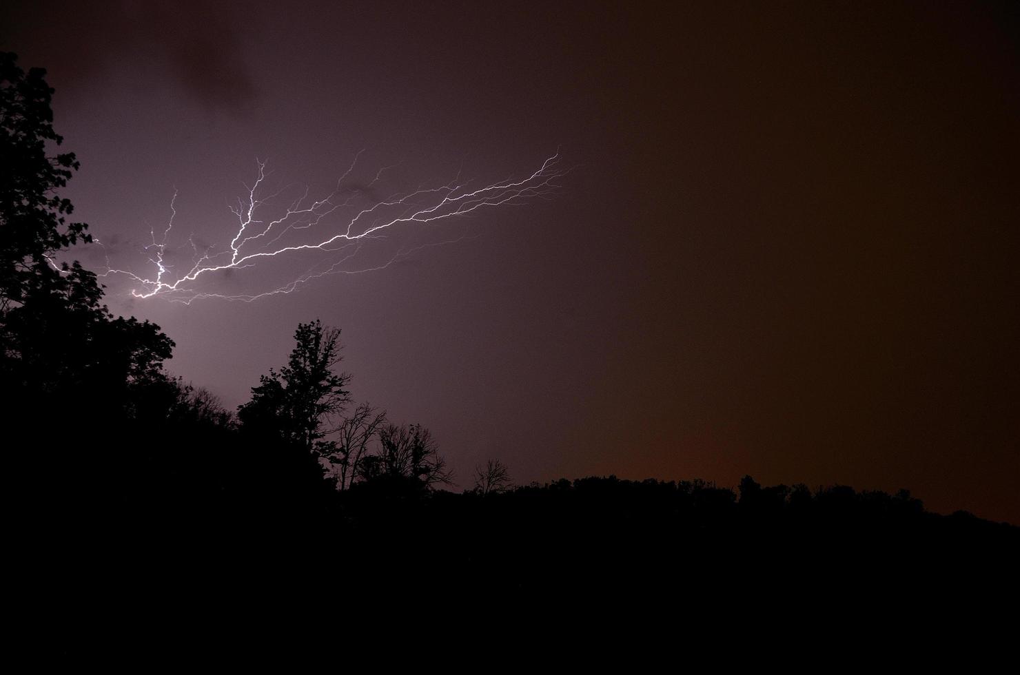 bel fulmine nella foresta foto