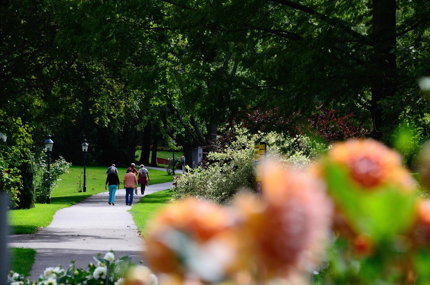 pensionato che cammina nel parco foto