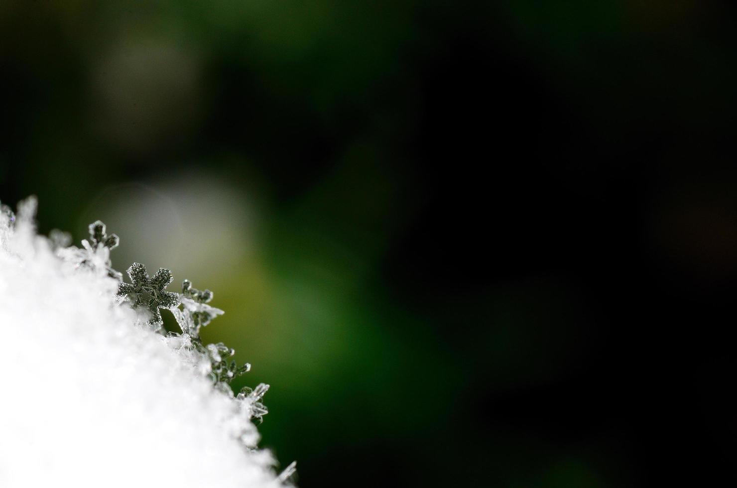 meraviglioso cristallo di neve foto