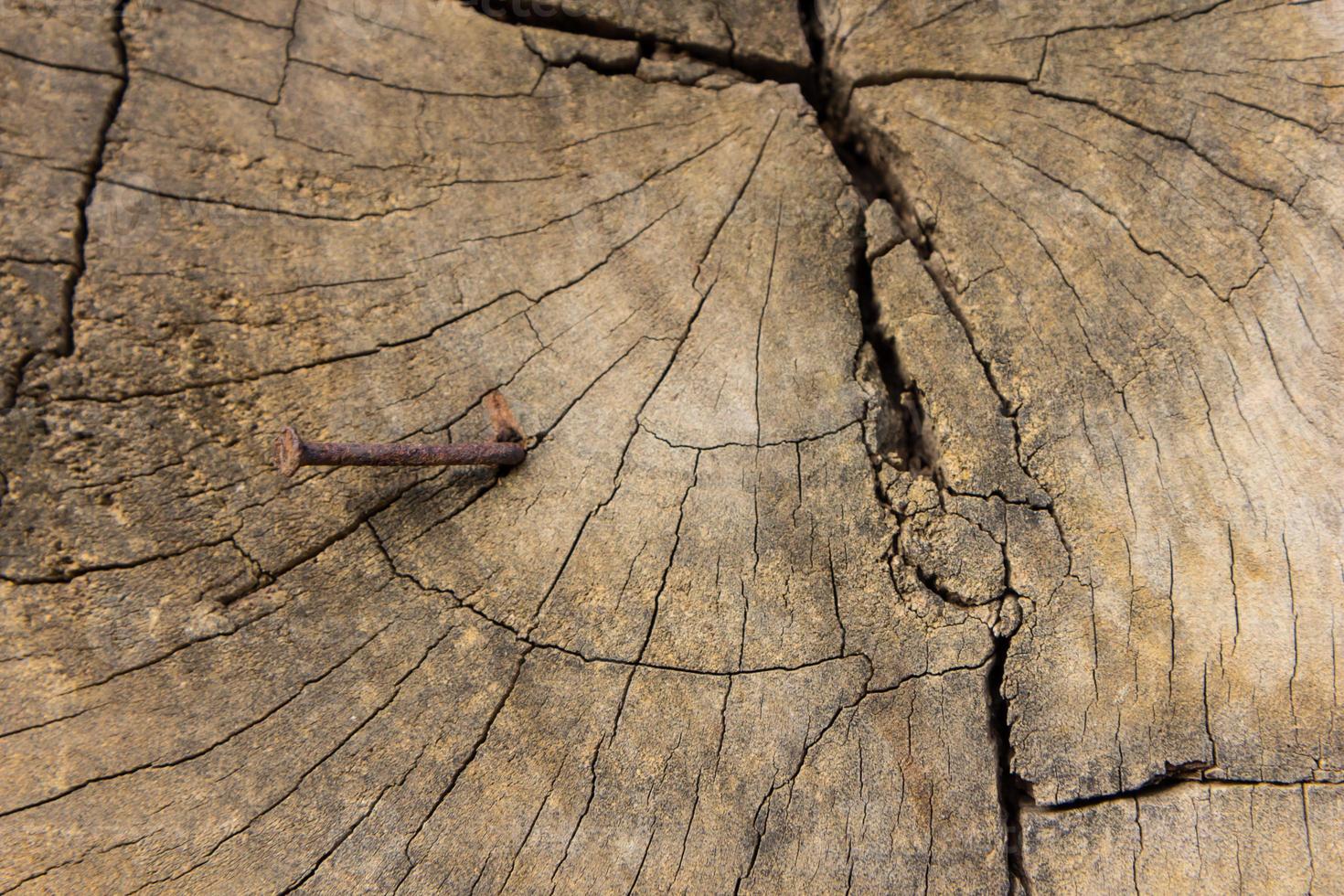 struttura in legno vecchio vintage naturale foto