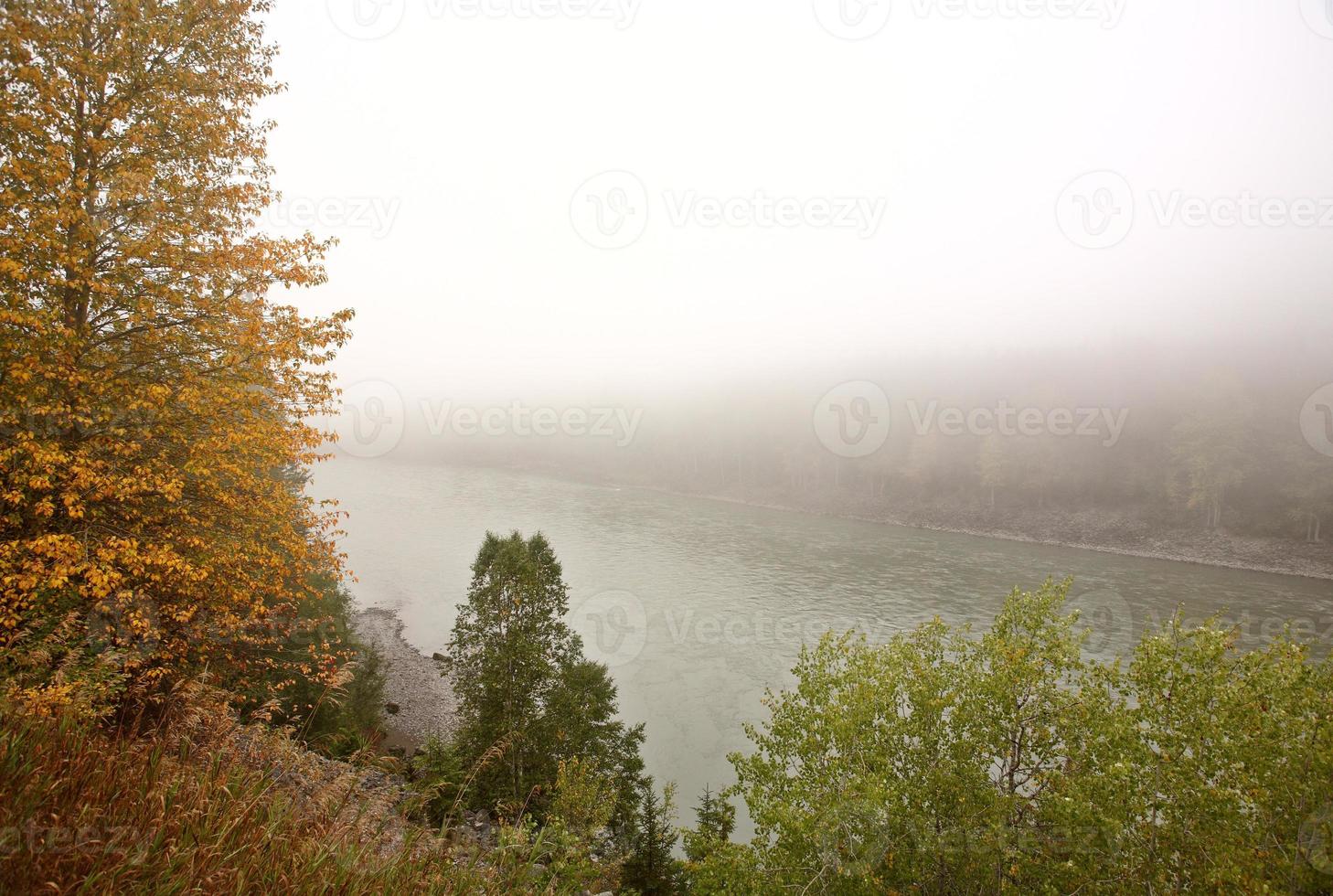 nebbia sul fiume skeena in british columbia foto