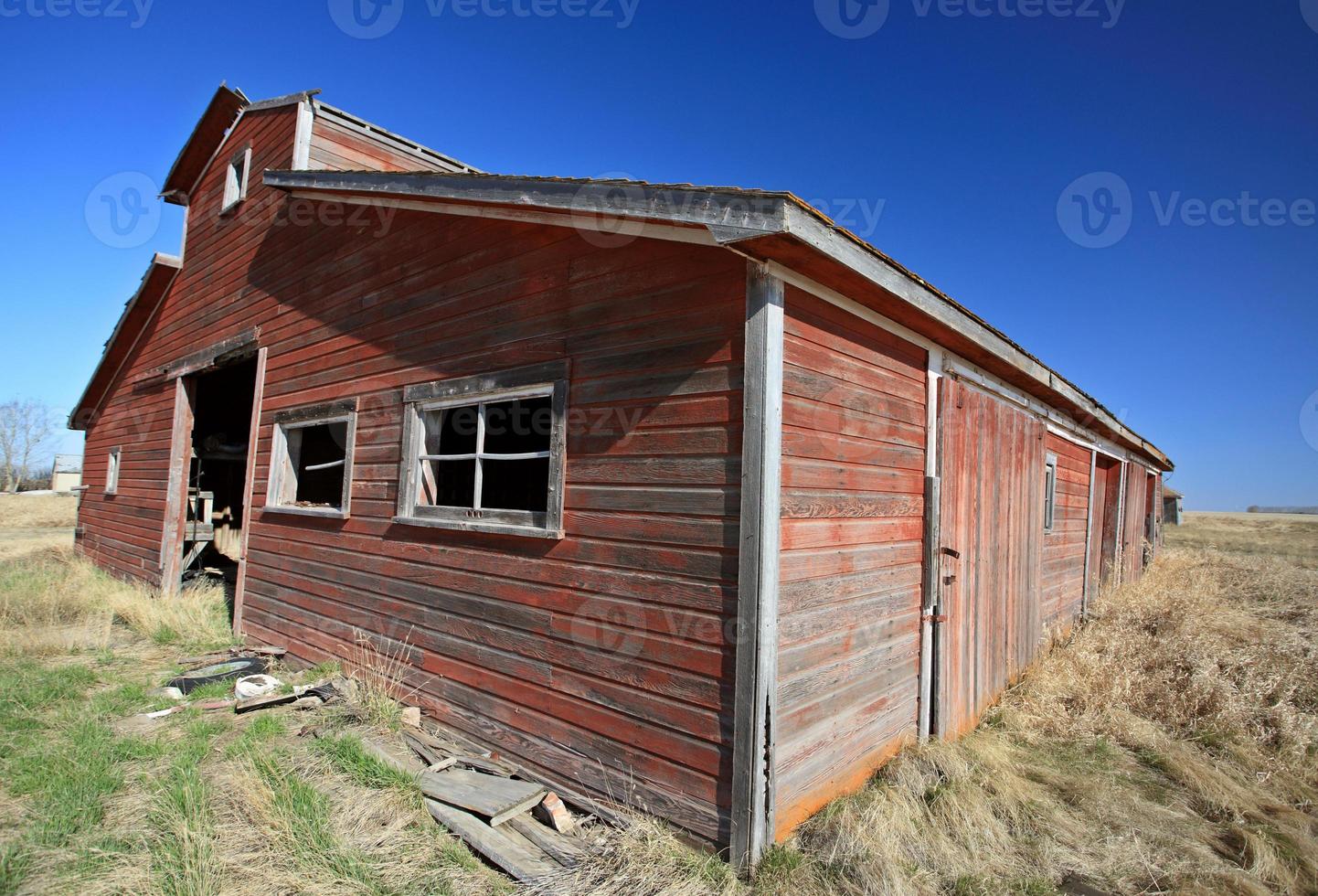 vecchie stalle abbandonate saskatchewan canada foto