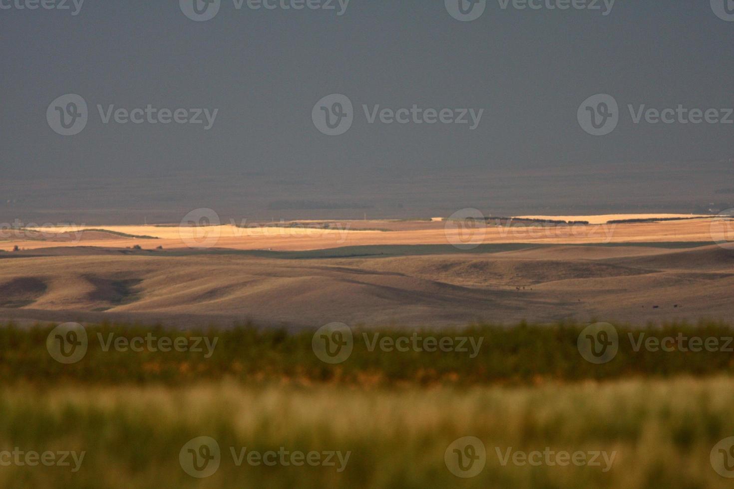 grande valle fangosa del saskatchewan foto