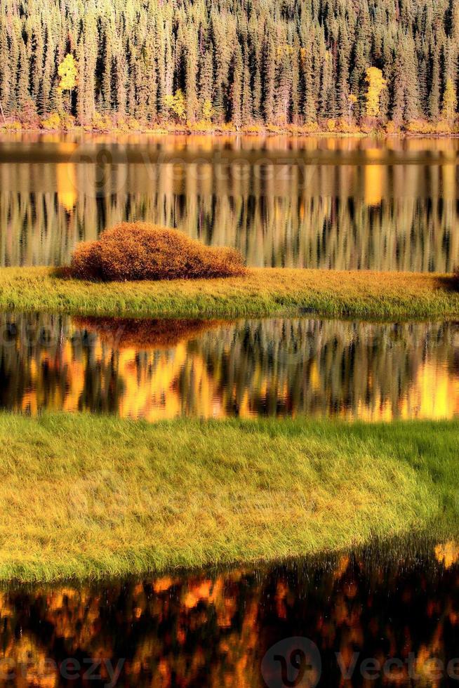 riflessi d'acqua in autunno foto