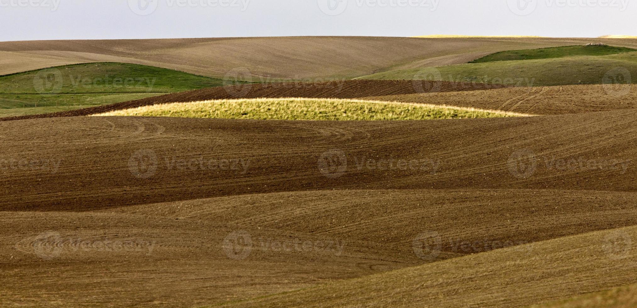 alte pianure colline saskatchewan canada foto