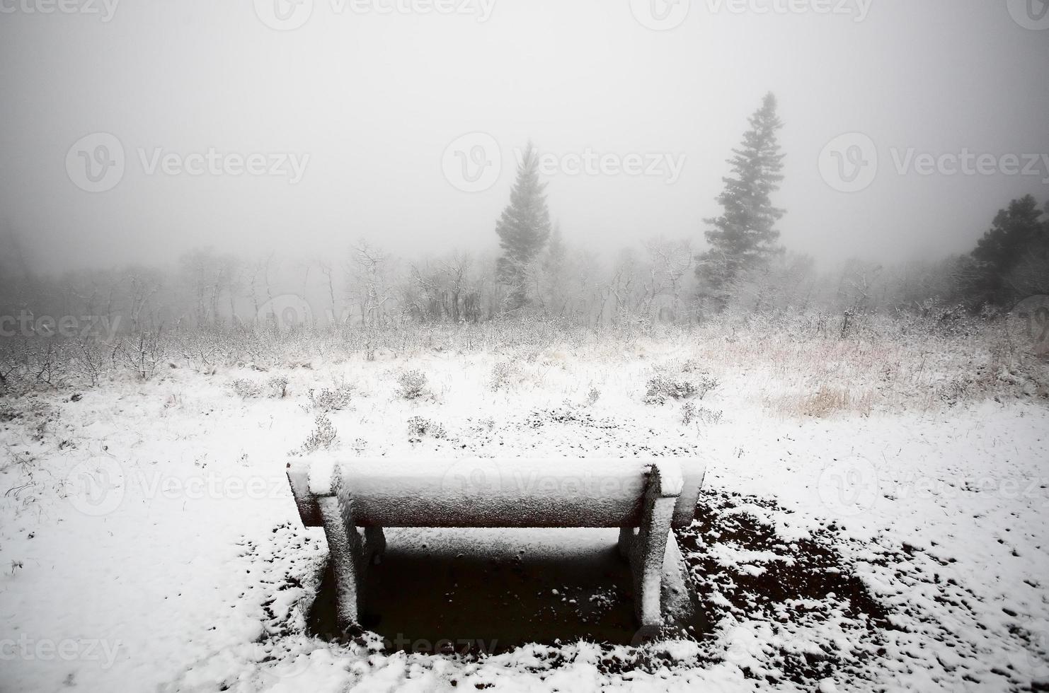 nebbia di ghiaccio nel parco provinciale delle colline di cipressi del saskatchewan foto