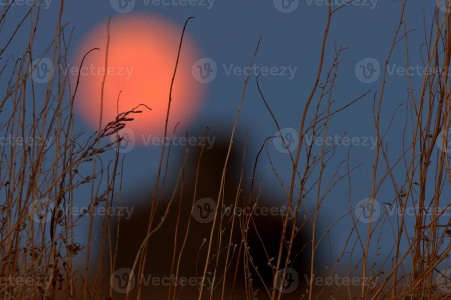 luna piena sul vecchio fienile del saskatchewan foto