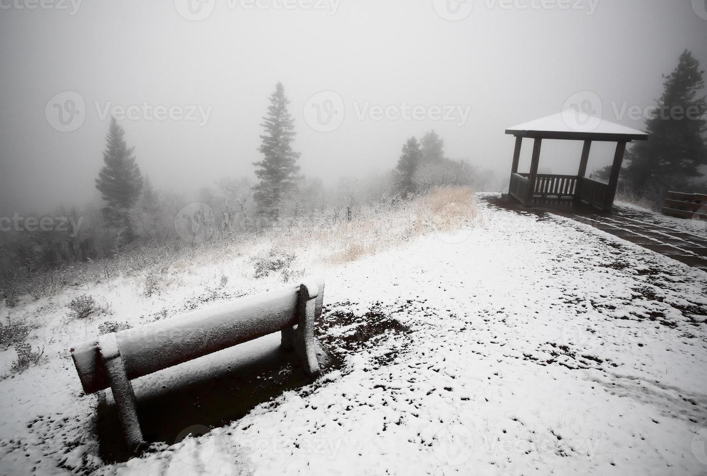 nebbia di ghiaccio nel parco provinciale delle colline di cipressi del saskatchewan foto