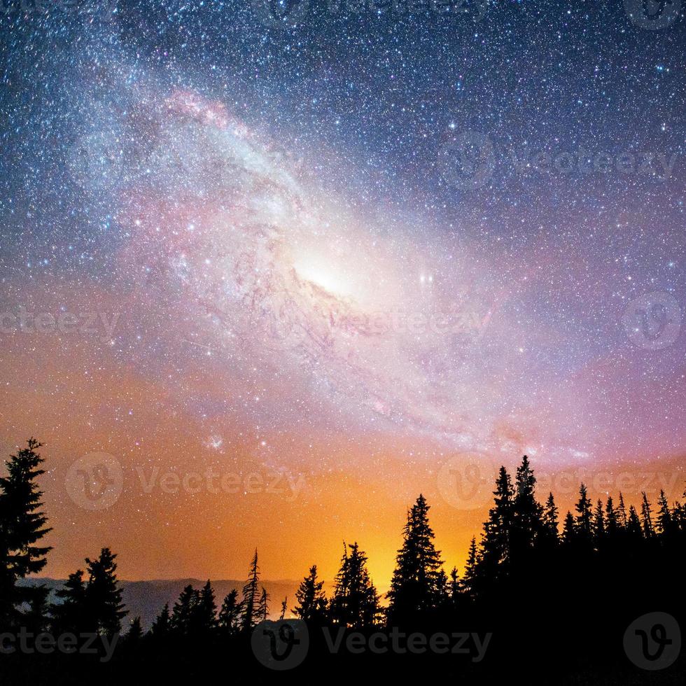 fantastico il cielo stellato e la via lattea sopra i pinnacoli dei pini. per gentile concessione della nasa foto