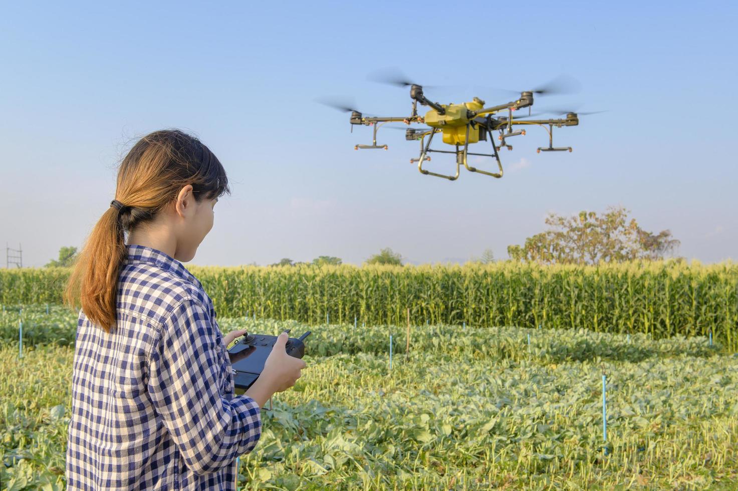 giovane agricoltore intelligente che controlla i droni che spruzzano fertilizzanti e pesticidi su terreni agricoli, innovazioni ad alta tecnologia e agricoltura intelligente foto