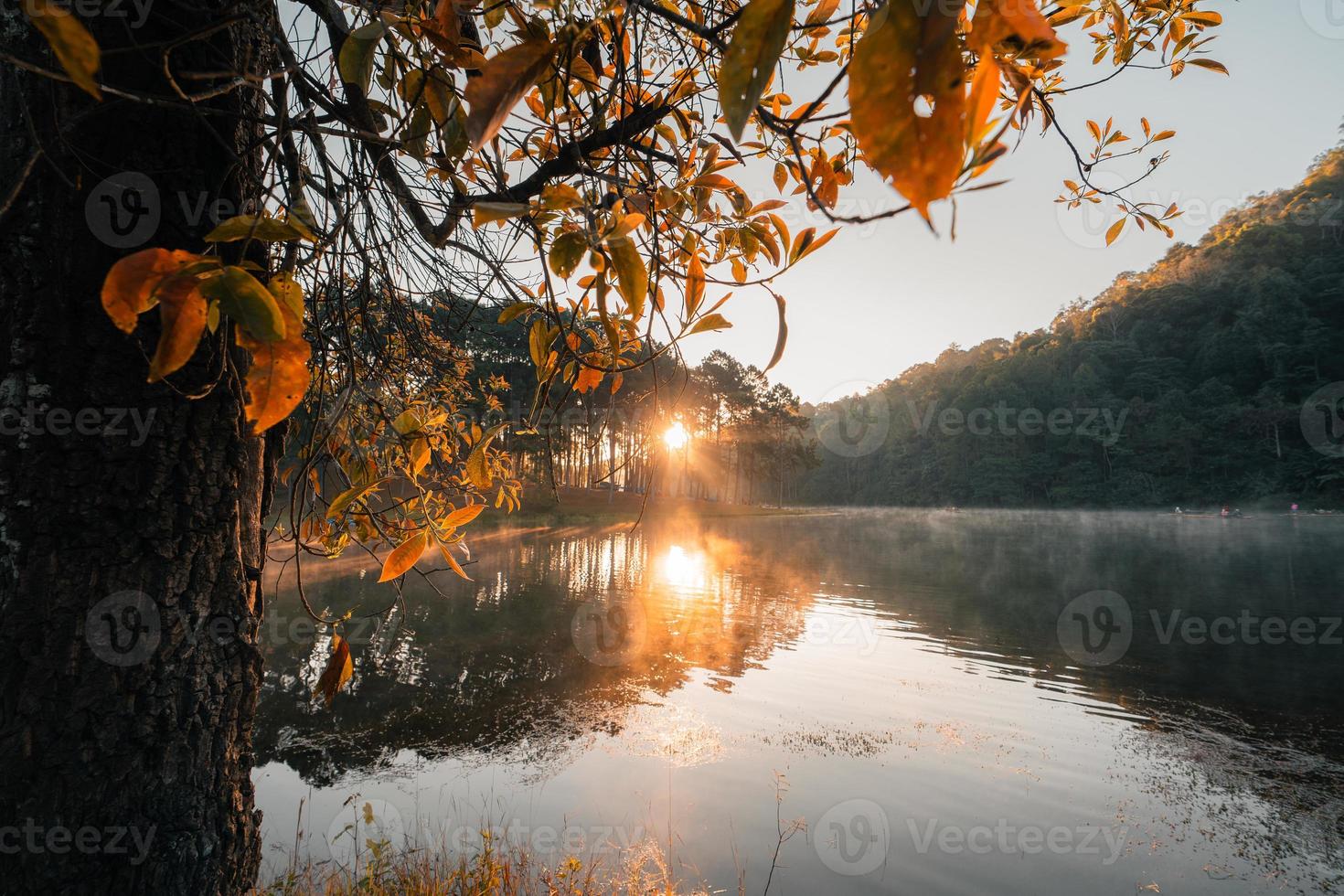 bella natura lago e foresta al mattino foto