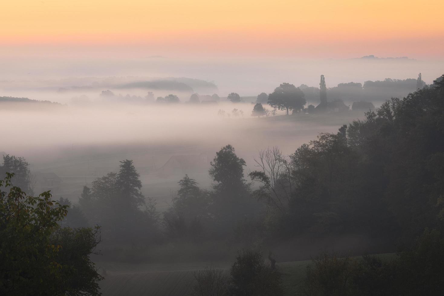 gocova all'alba nebbiosa foto