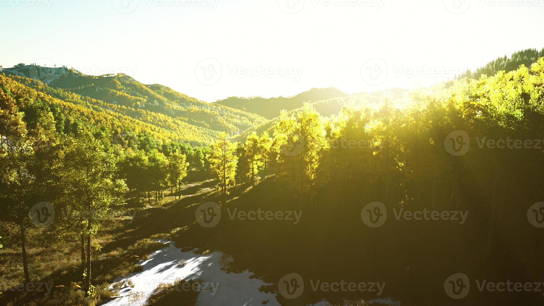 bella foresta autunnale arancione e rossa foto