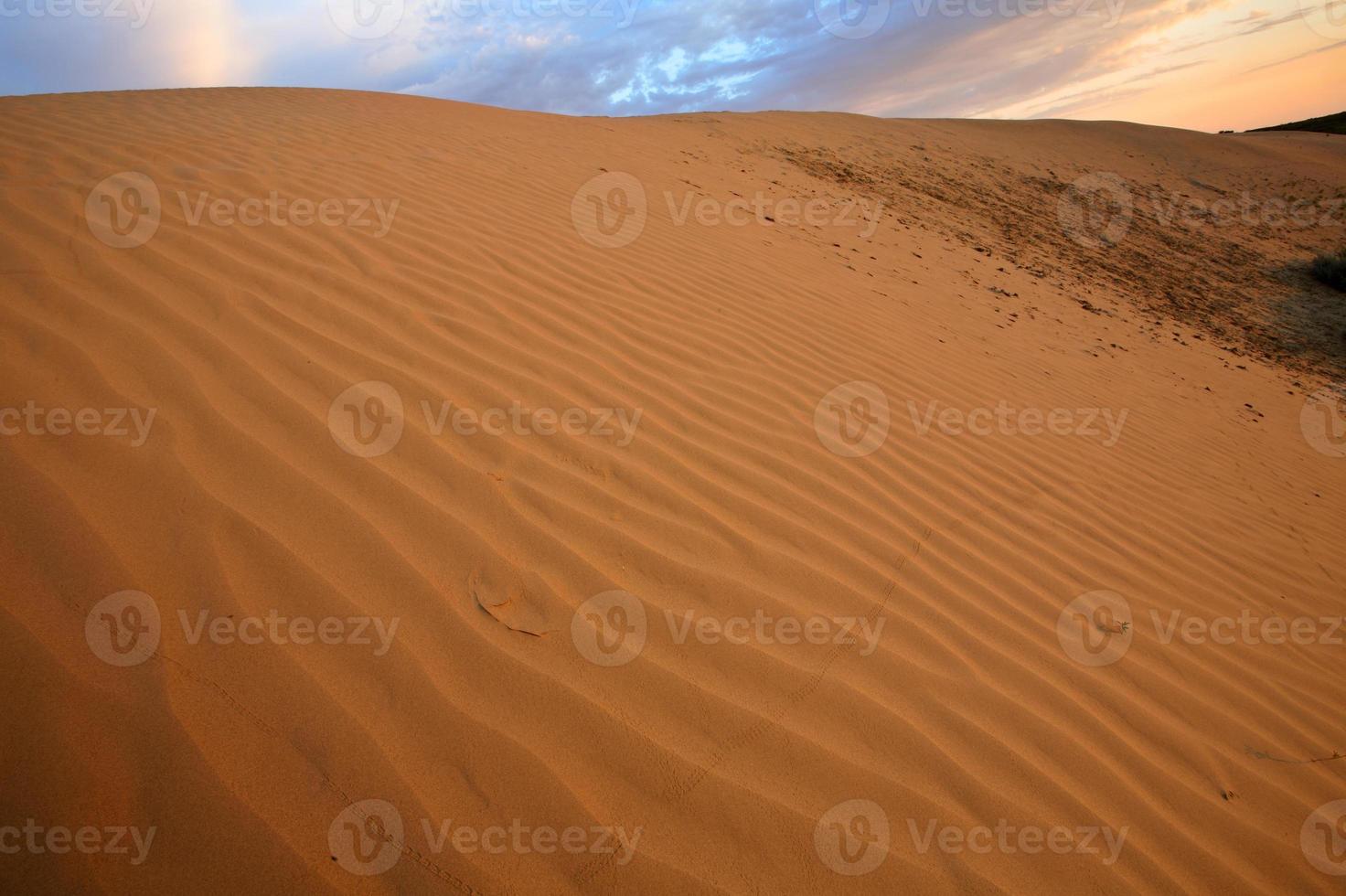 duna di sabbia alle grandi colline di sabbia nel pittoresco saskatchewan foto