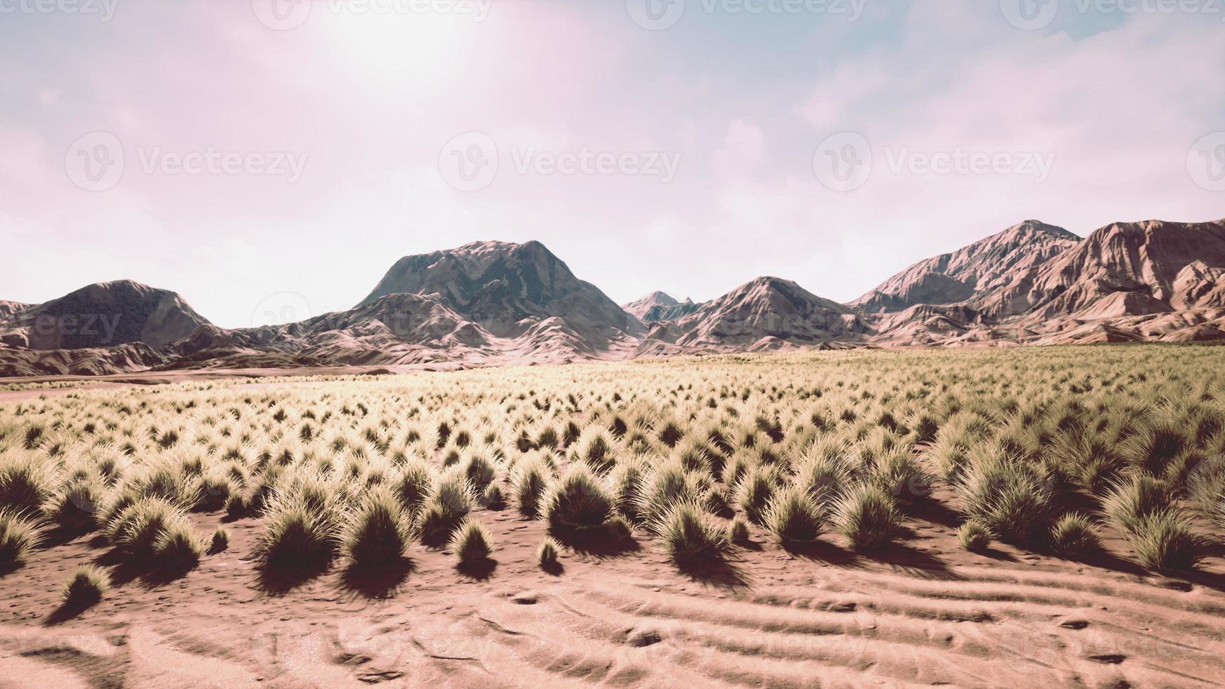 paesaggio desertico nel parco nazionale del cratere foto