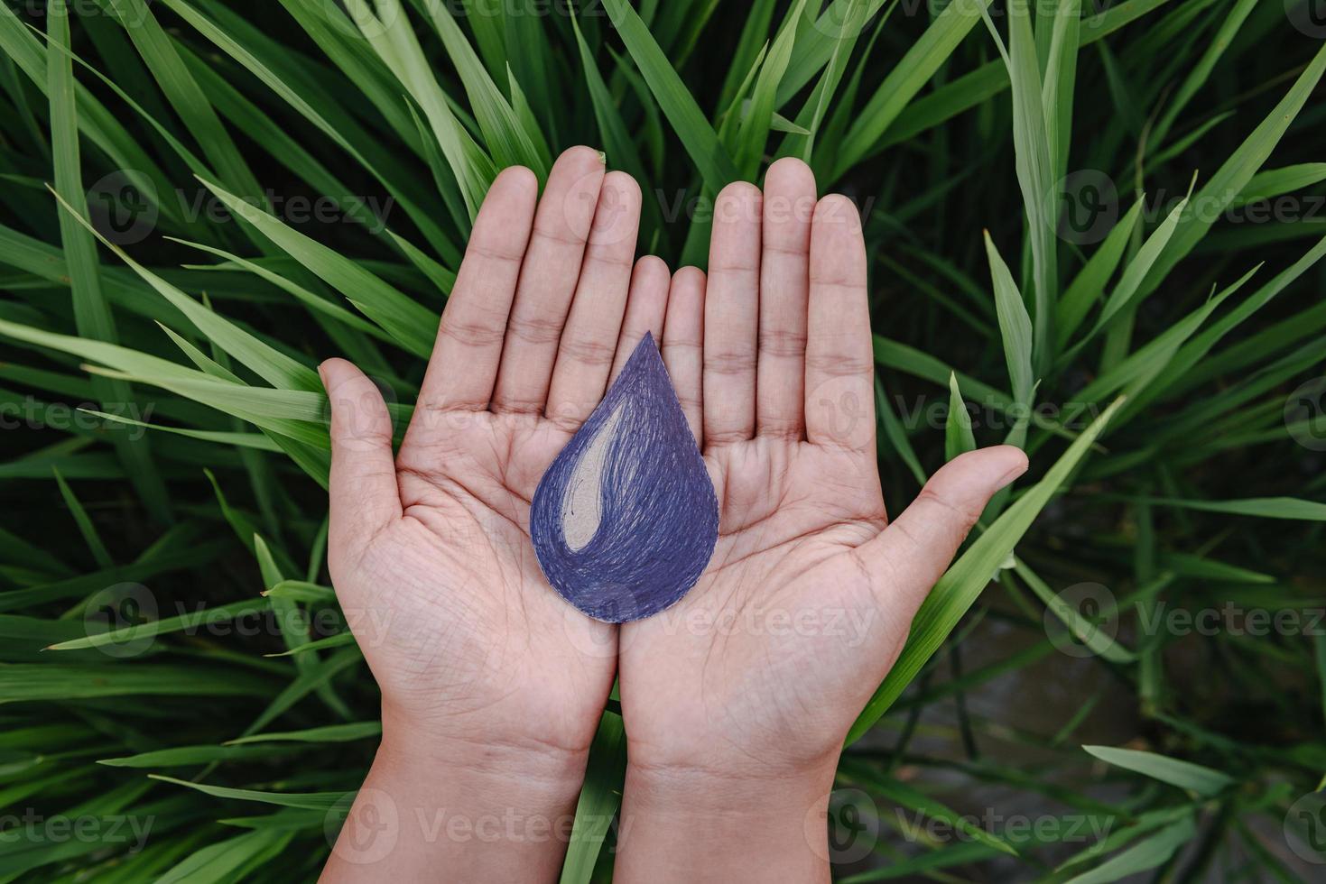 water world csr per il concetto di stili di vita sostenibili, risparmia acqua e ambiente per risorse sostenibili. mani femminili che tengono il simbolo della goccia d'acqua sull'erba lascia il fondo. sviluppo della sostenibilità foto