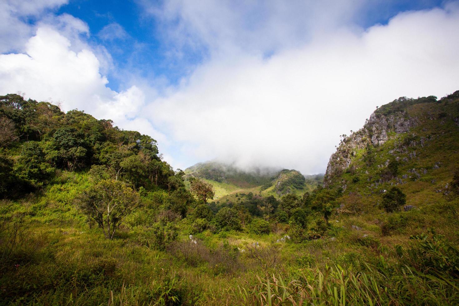 atmosfera lungo la strada nel santuario della fauna selvatica di Chiang Dao foto