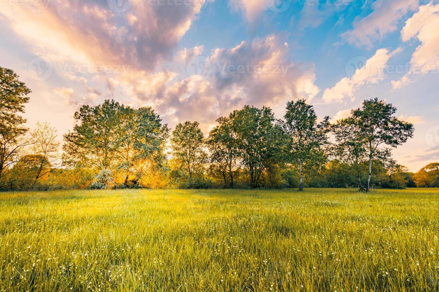 tramonto sull'erba e il paesaggio del prato in fiore. fantastico paesaggio rurale primaverile, bellissima natura panoramica. vista colorata, cielo di nuvole da sogno foto