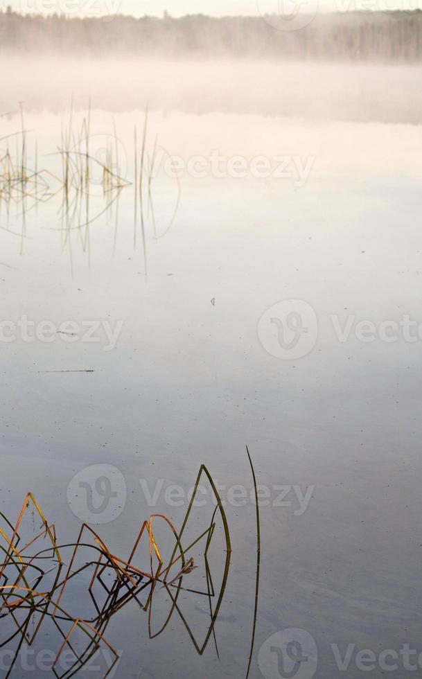 nebbia mattutina sul fiume Waterhen nel pittoresco saskatchewan foto