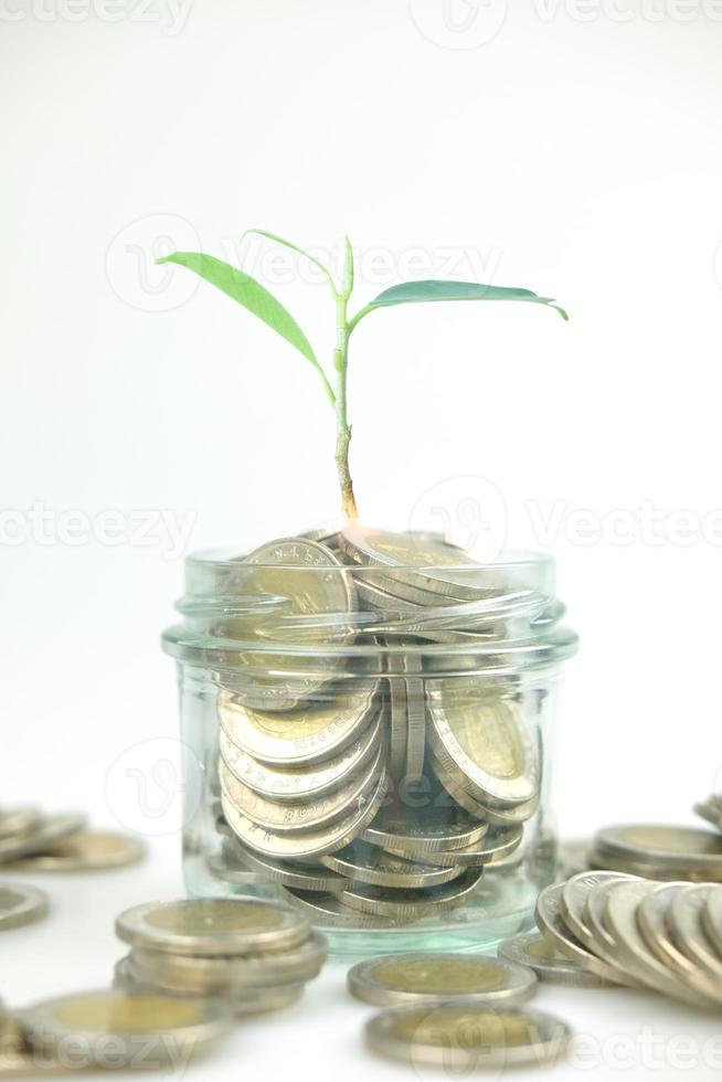 monete in vetro e monete impilate con albero per affari e stagione fiscale. foto